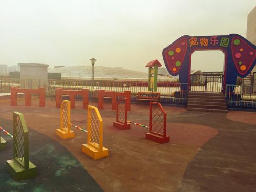 寵物狗樂(lè)園